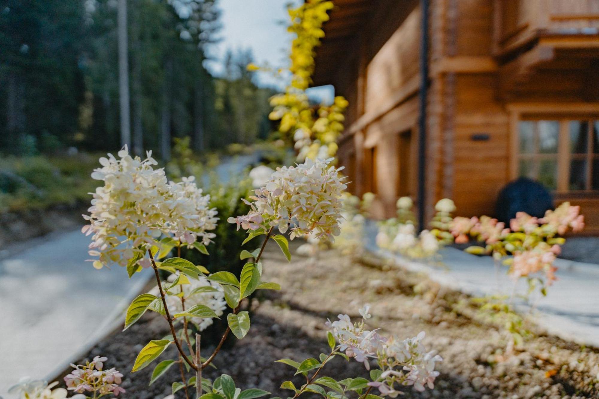 Sissi'S Green Chalets Leutasch Exteriér fotografie