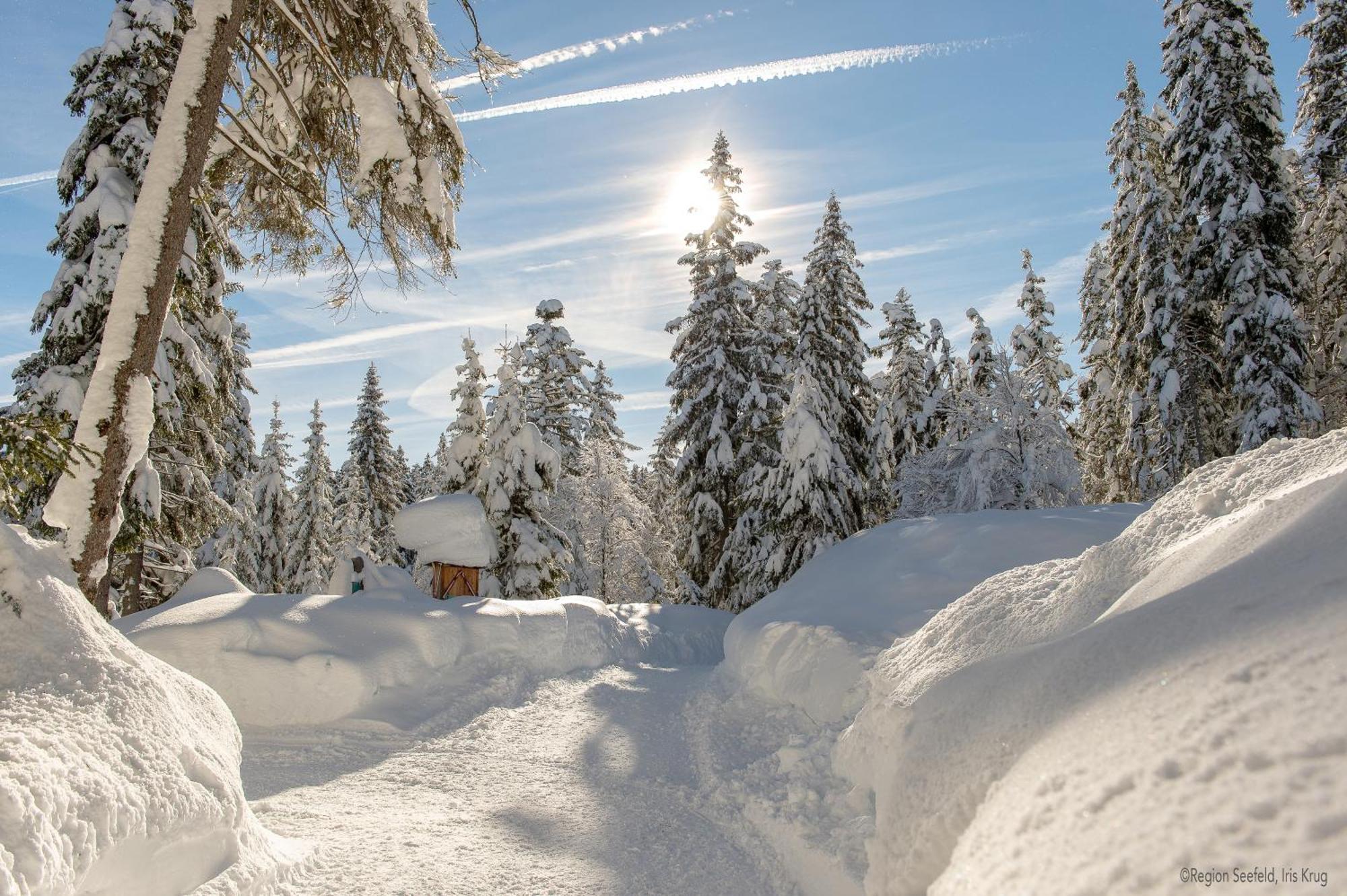 Sissi'S Green Chalets Leutasch Exteriér fotografie